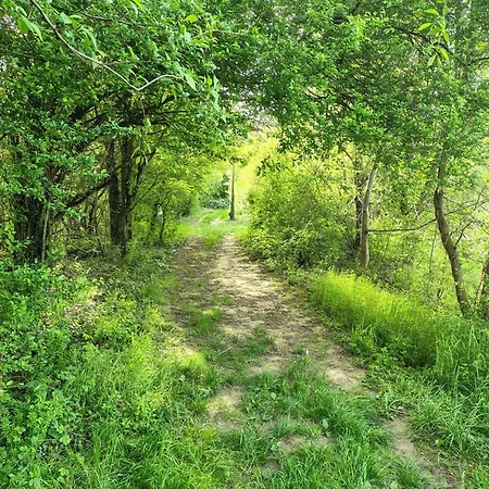 Séjour à la campagne Golden